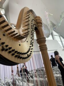 Chattanooga Harpist