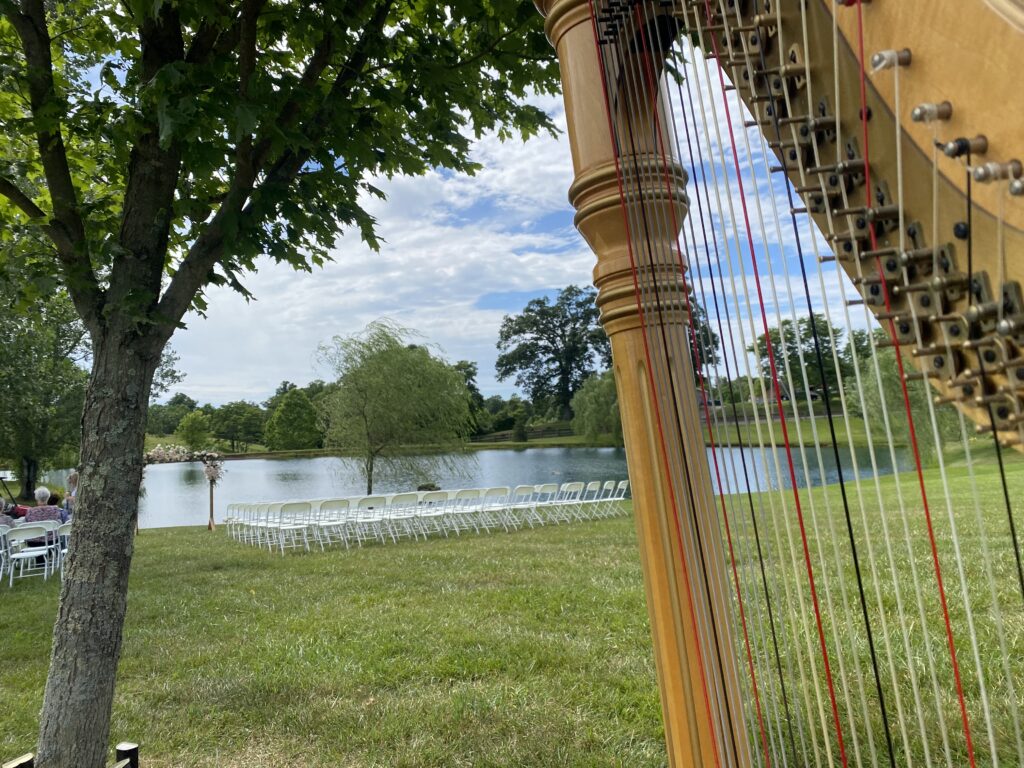 Marietta OH Harpist