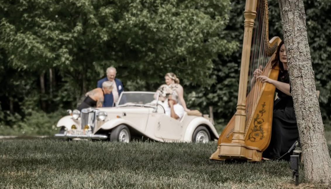 Harpist Southeast Ohio