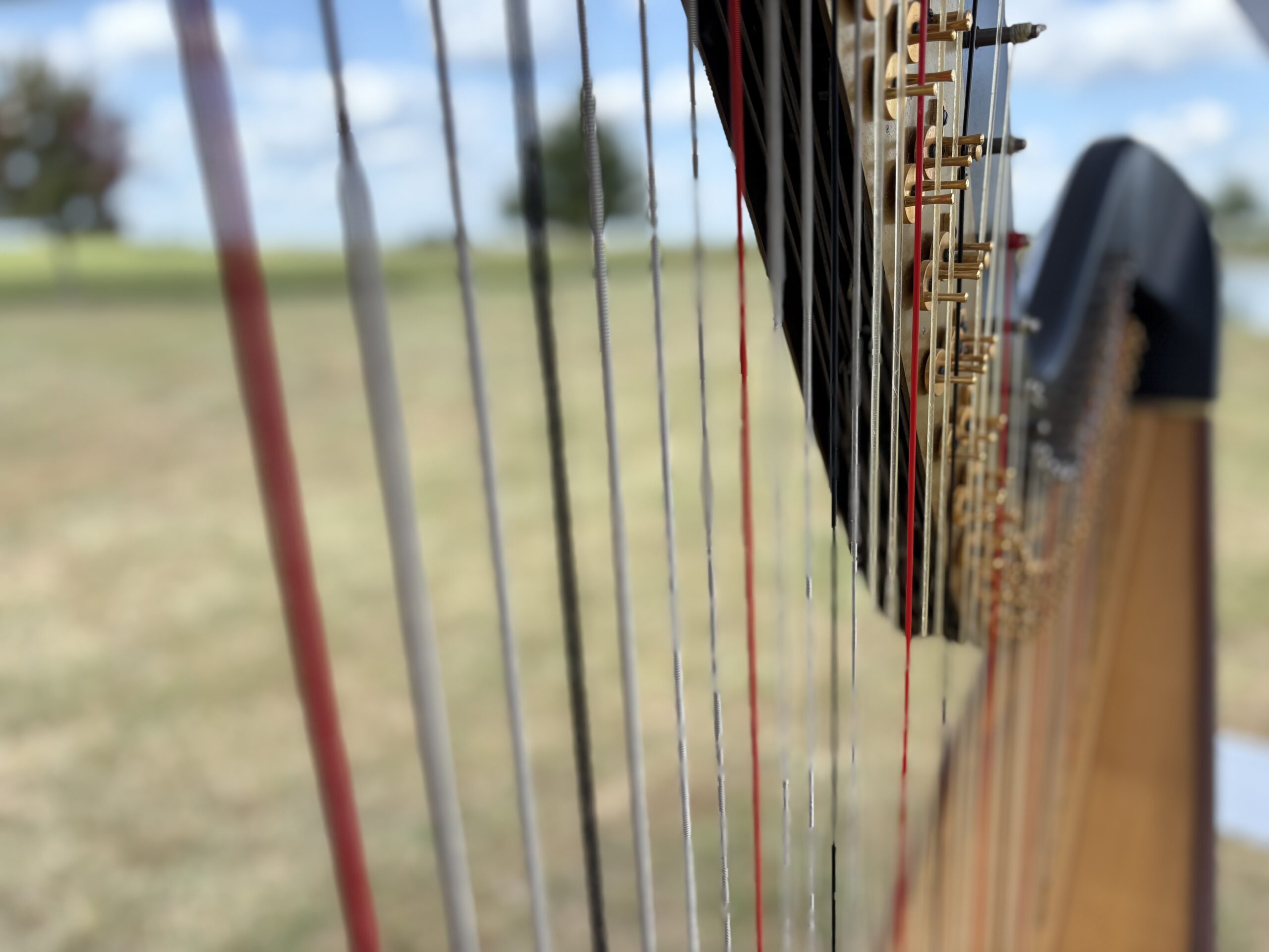 Harpist for Hire Bloomington IL