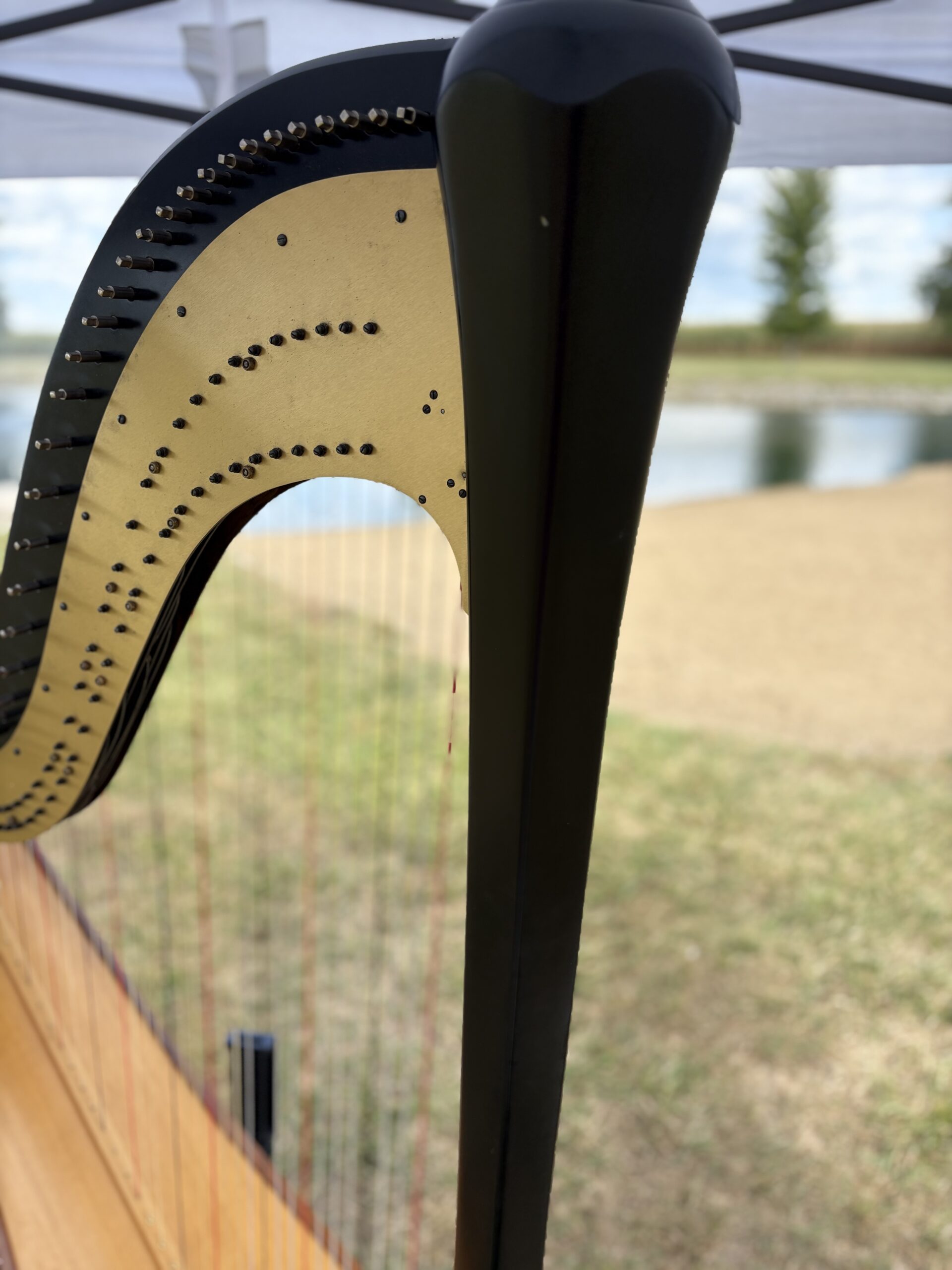 Wedding Harp Music Illinois