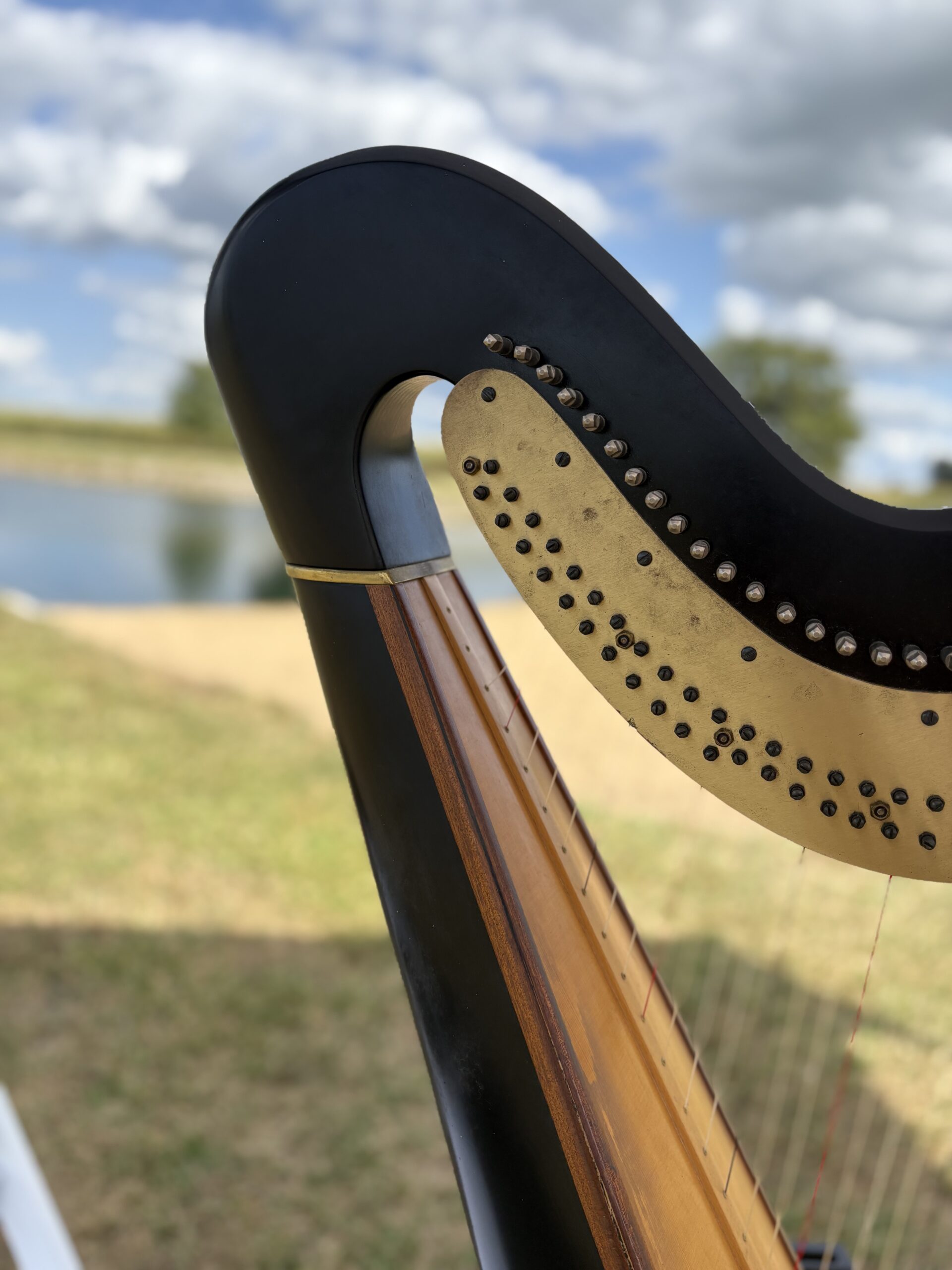 Harpist in Central Illinois