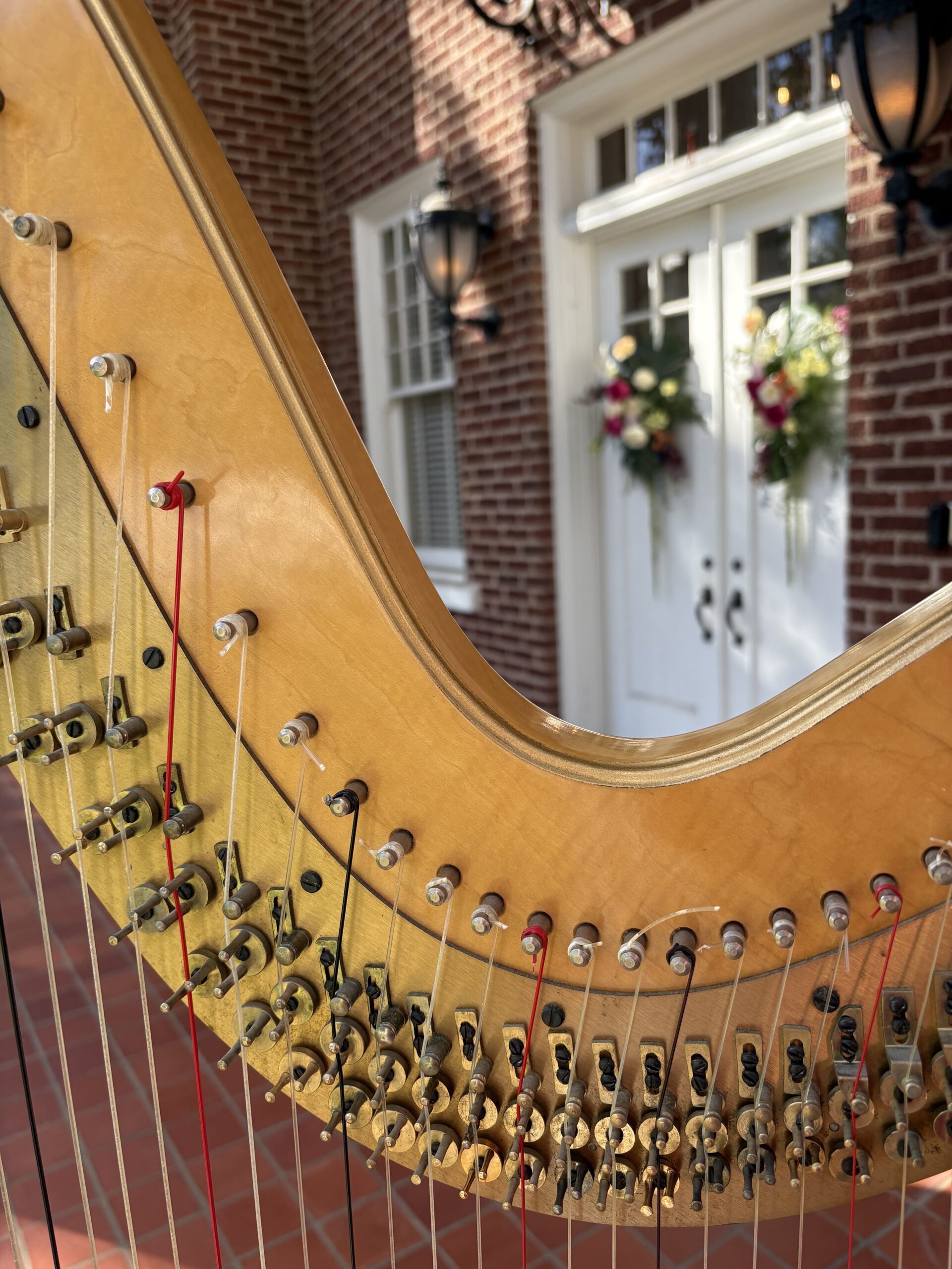 Mississippi Harpist