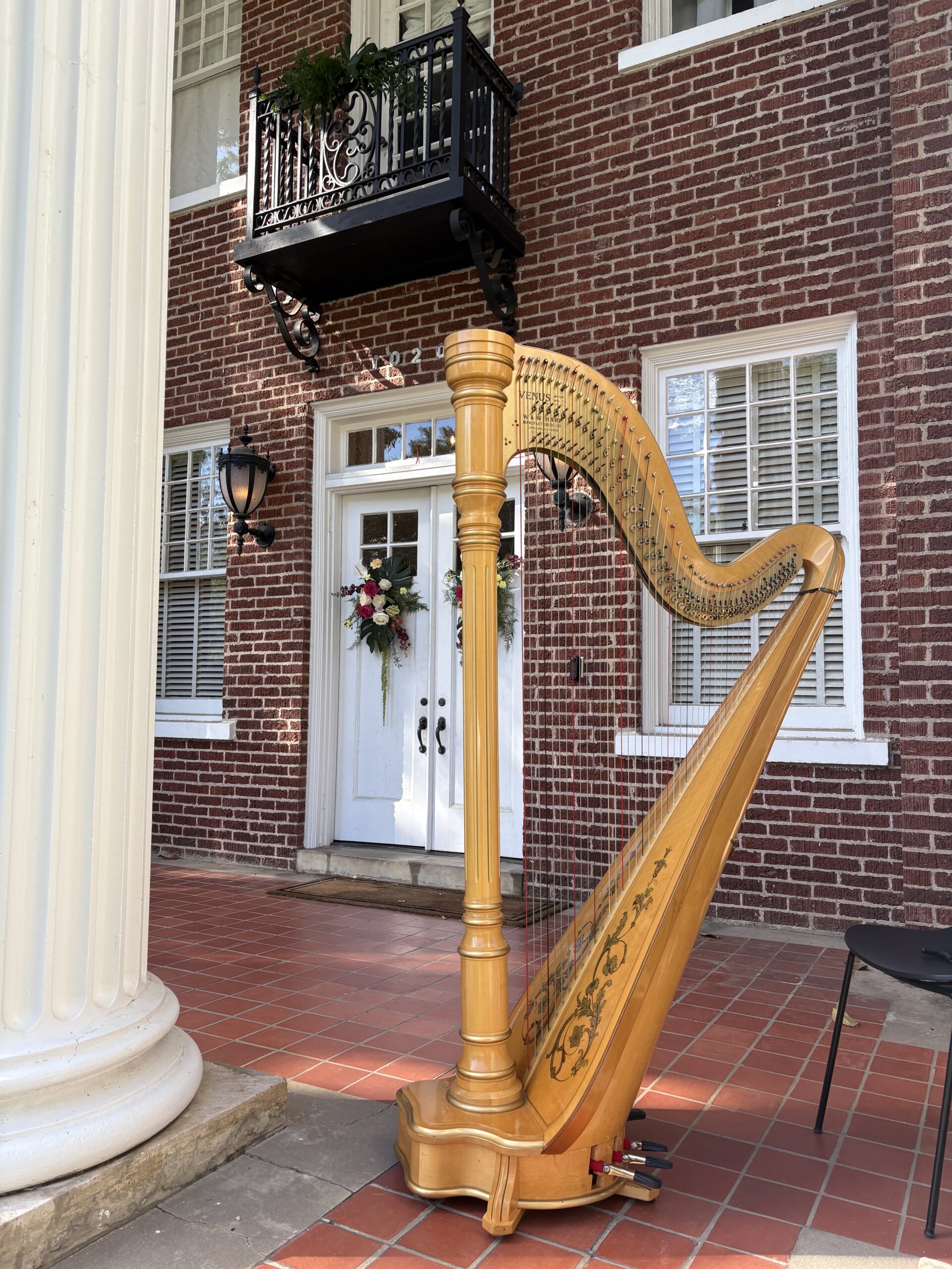 Harpist in Jackson MS