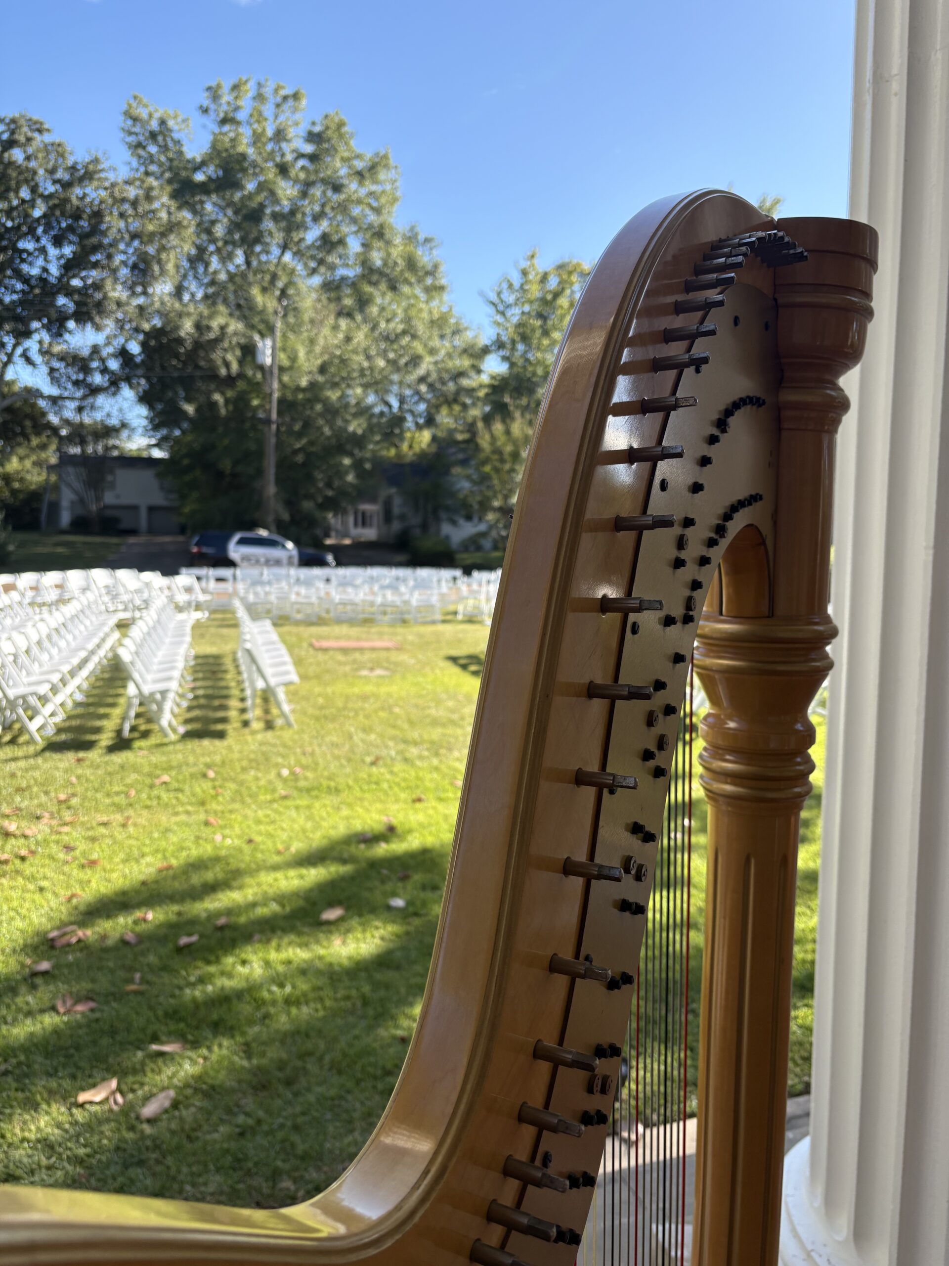 Jackson Harpist