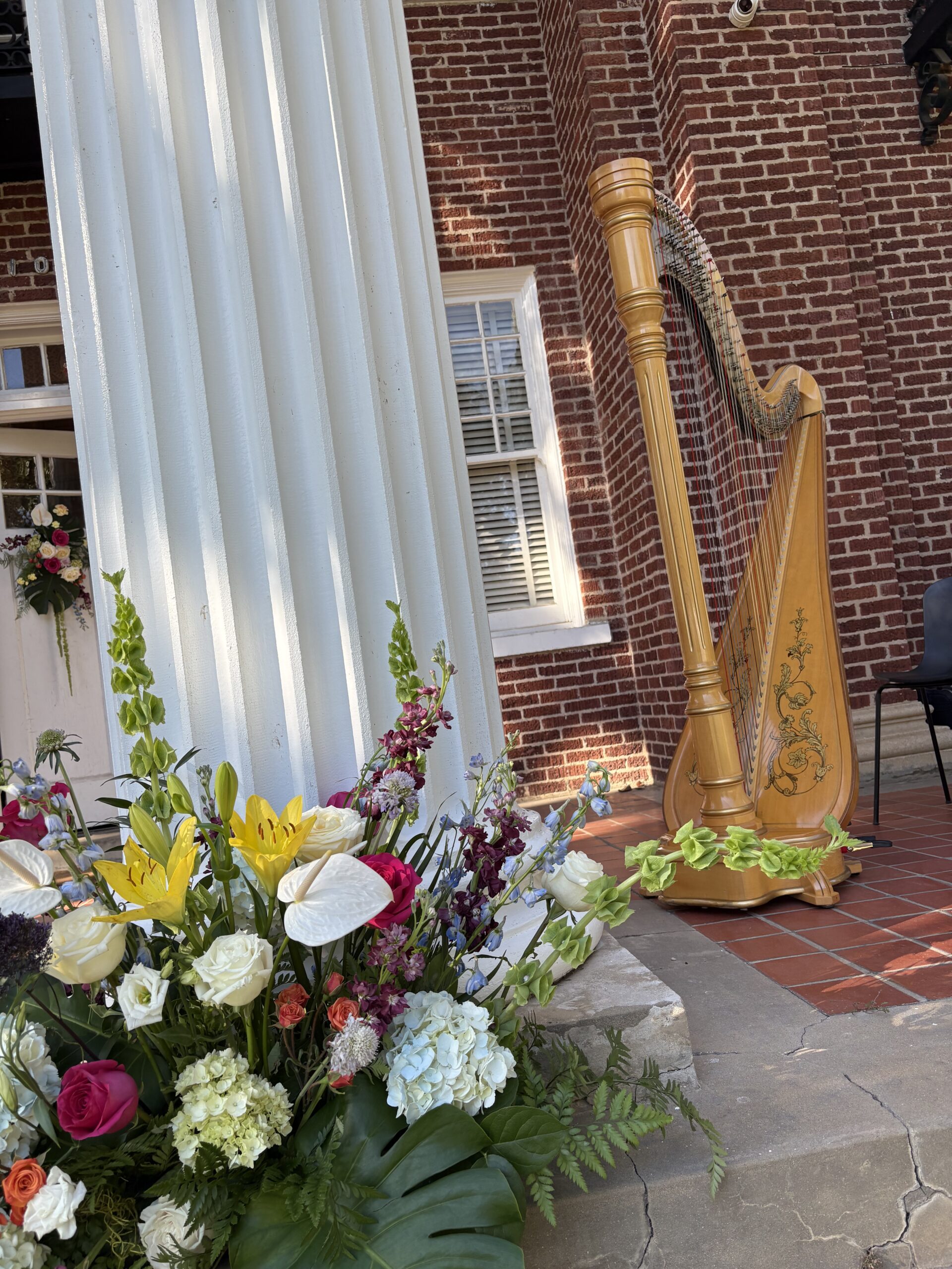 Harpist in Jackson MS