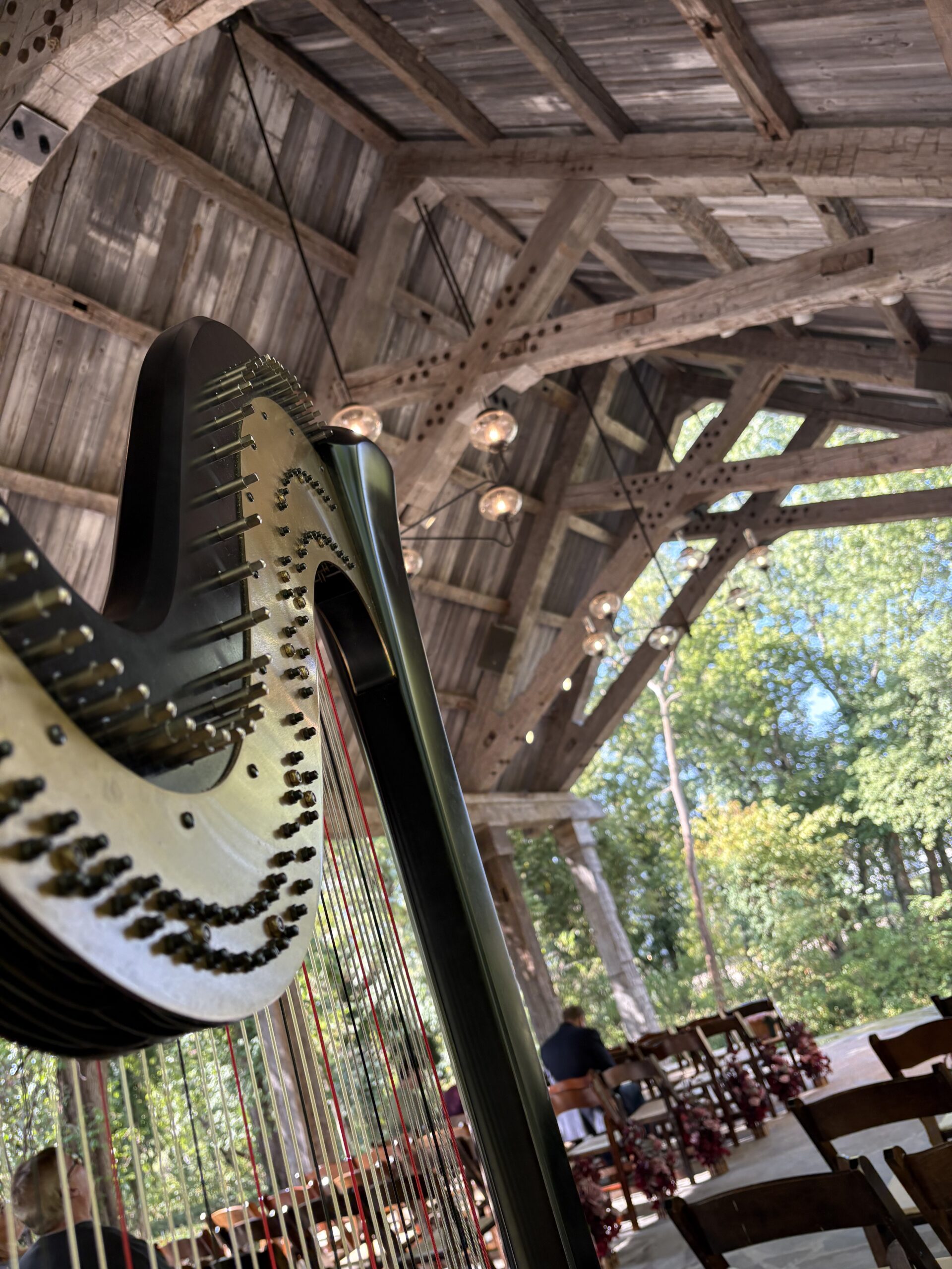 Wedding Harpist Springfield MO