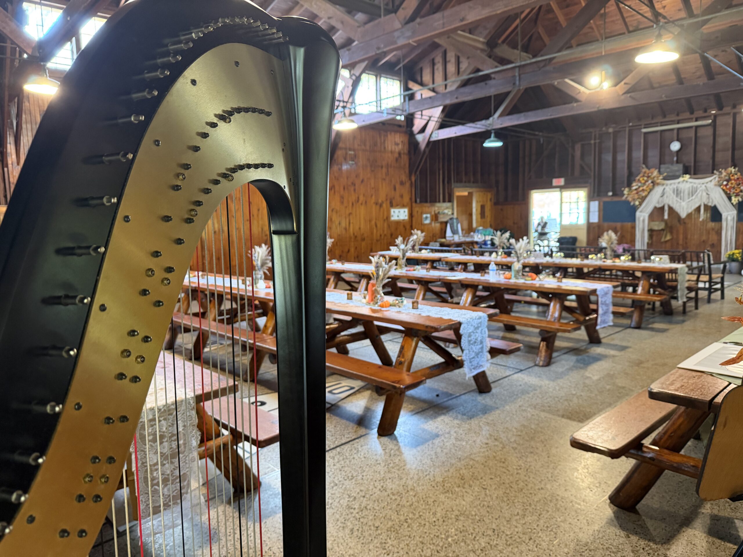 Harp Player Grand Rapids