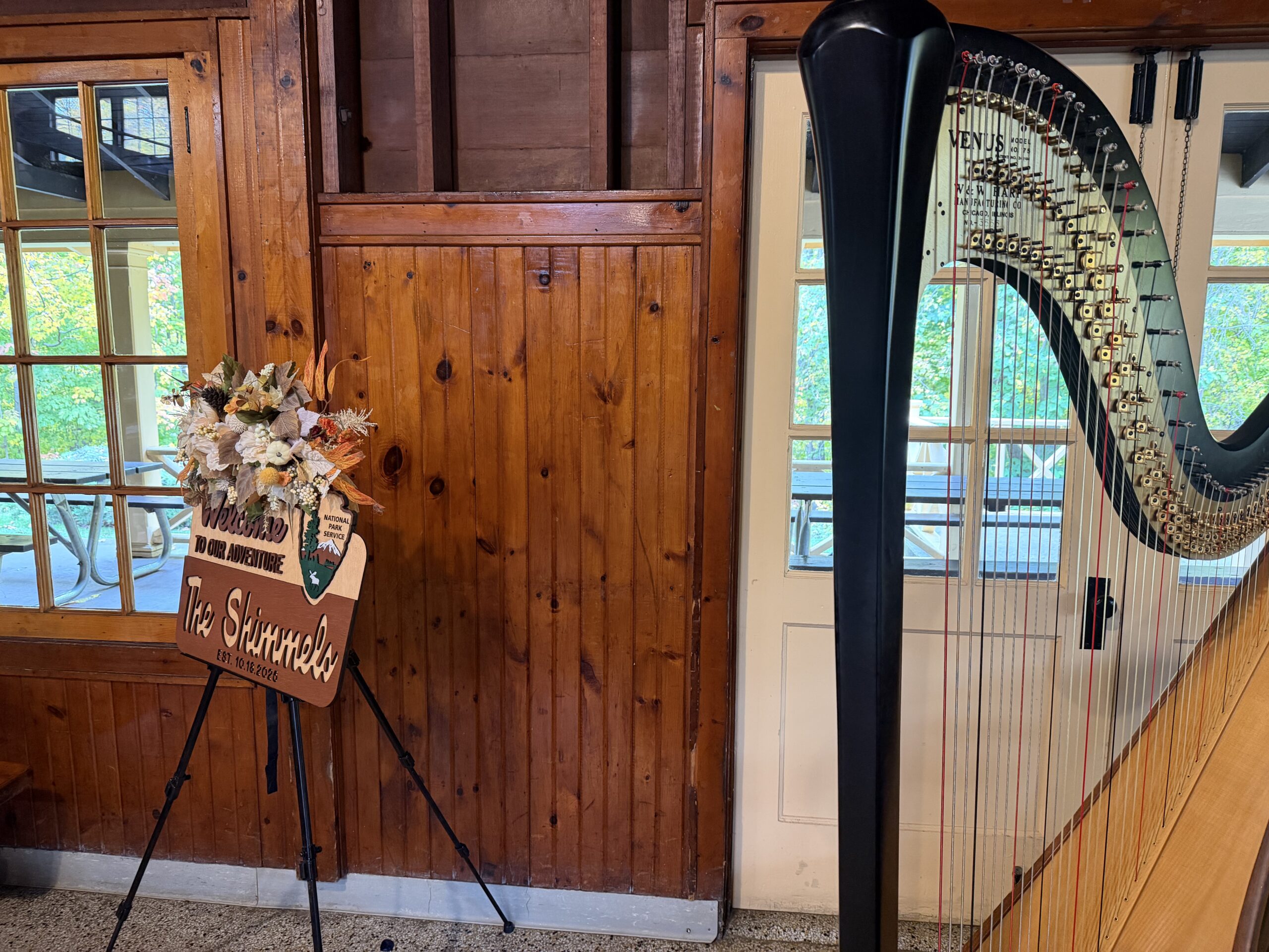Harpist in West Michigan