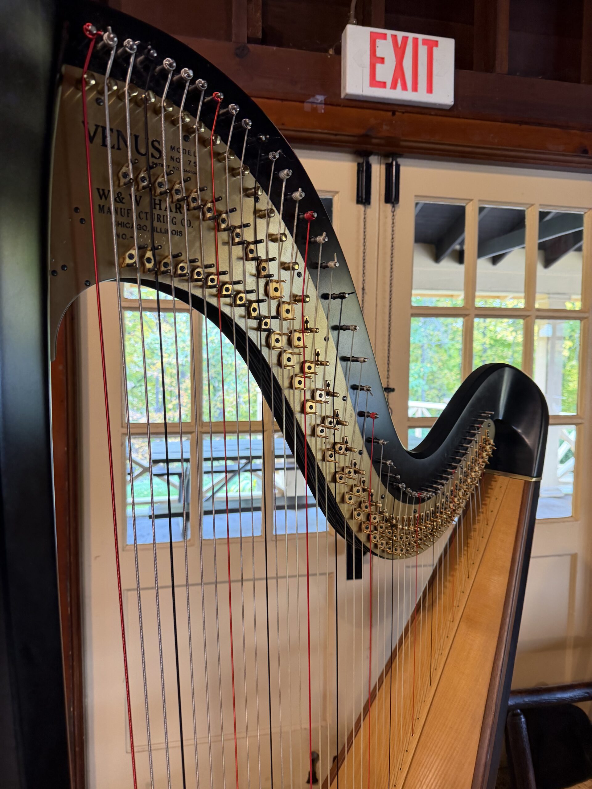 Grand Rapids Harp & Violin Duet