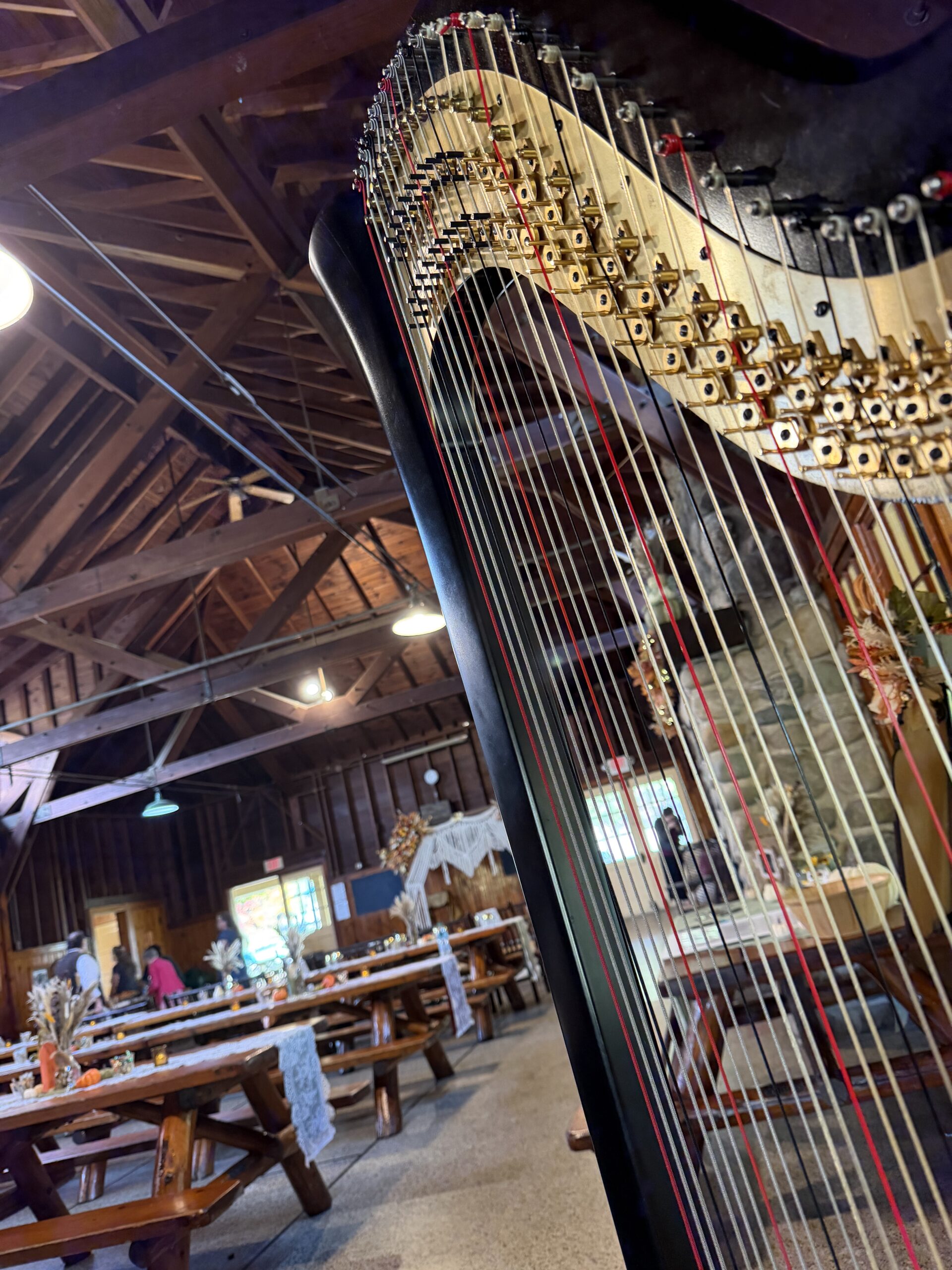 Wedding Musician Grand Rapids