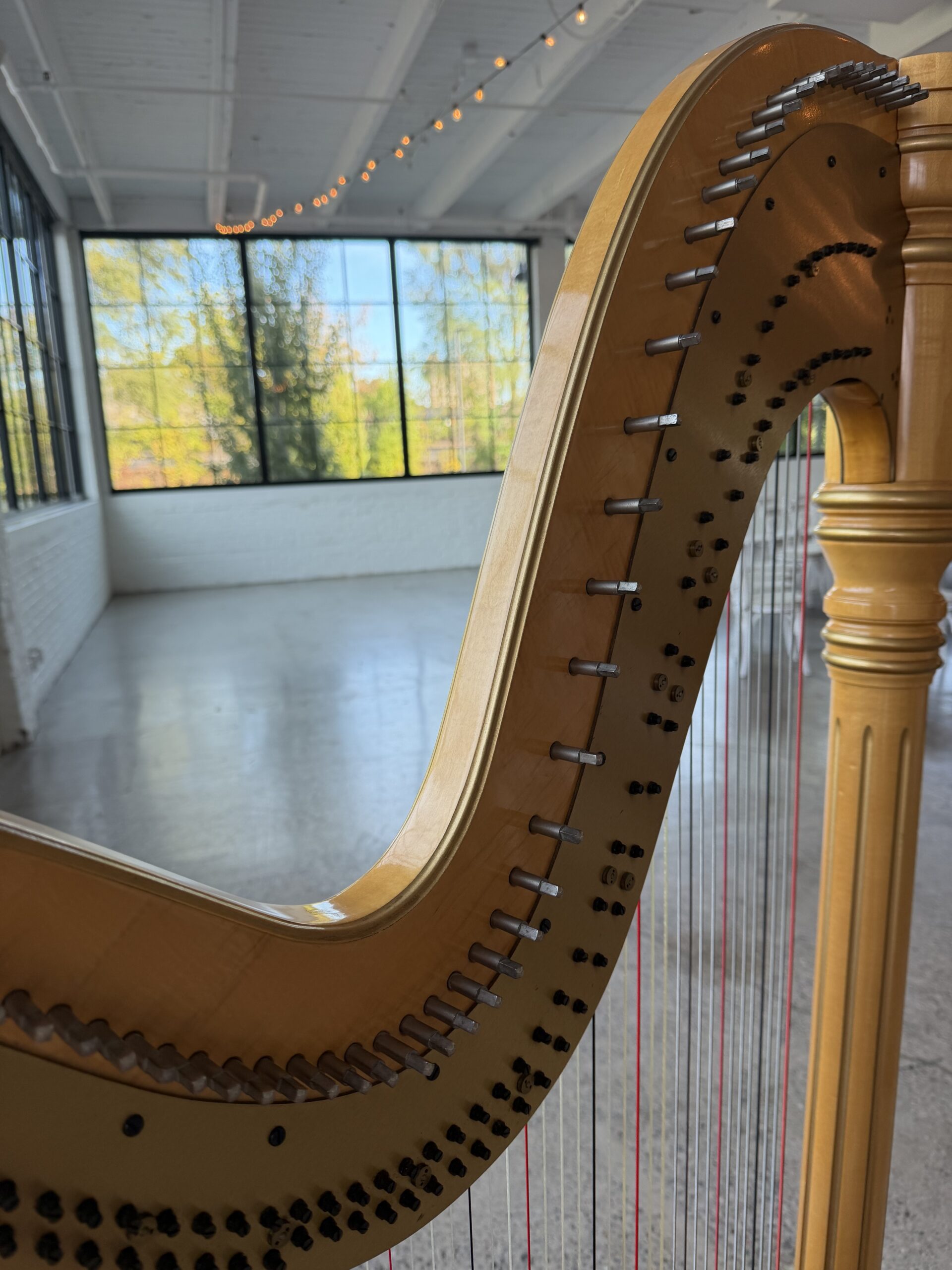 Wedding Harpist Minnesota