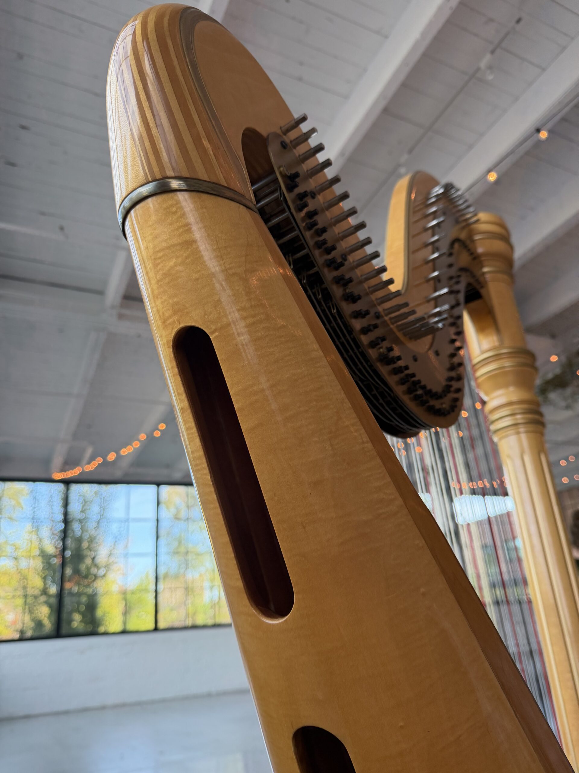 St. Paul MN Harpist