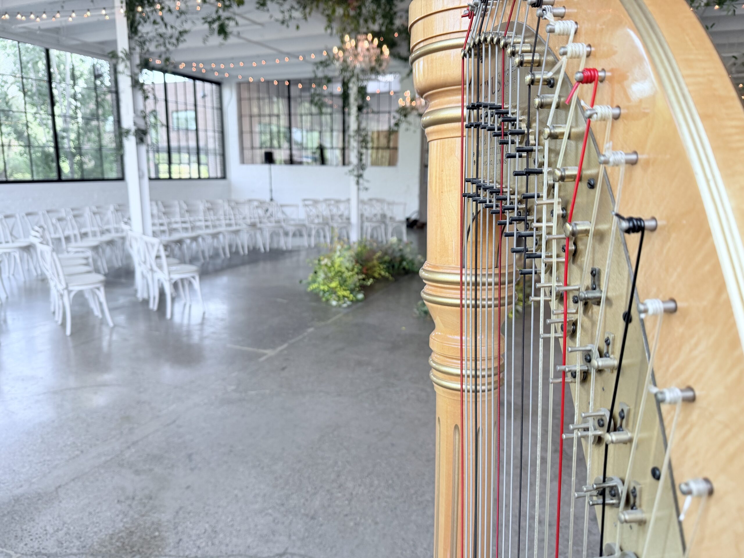 Harp Player Minneapolis