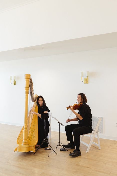 Harp and Violin Wisconsin