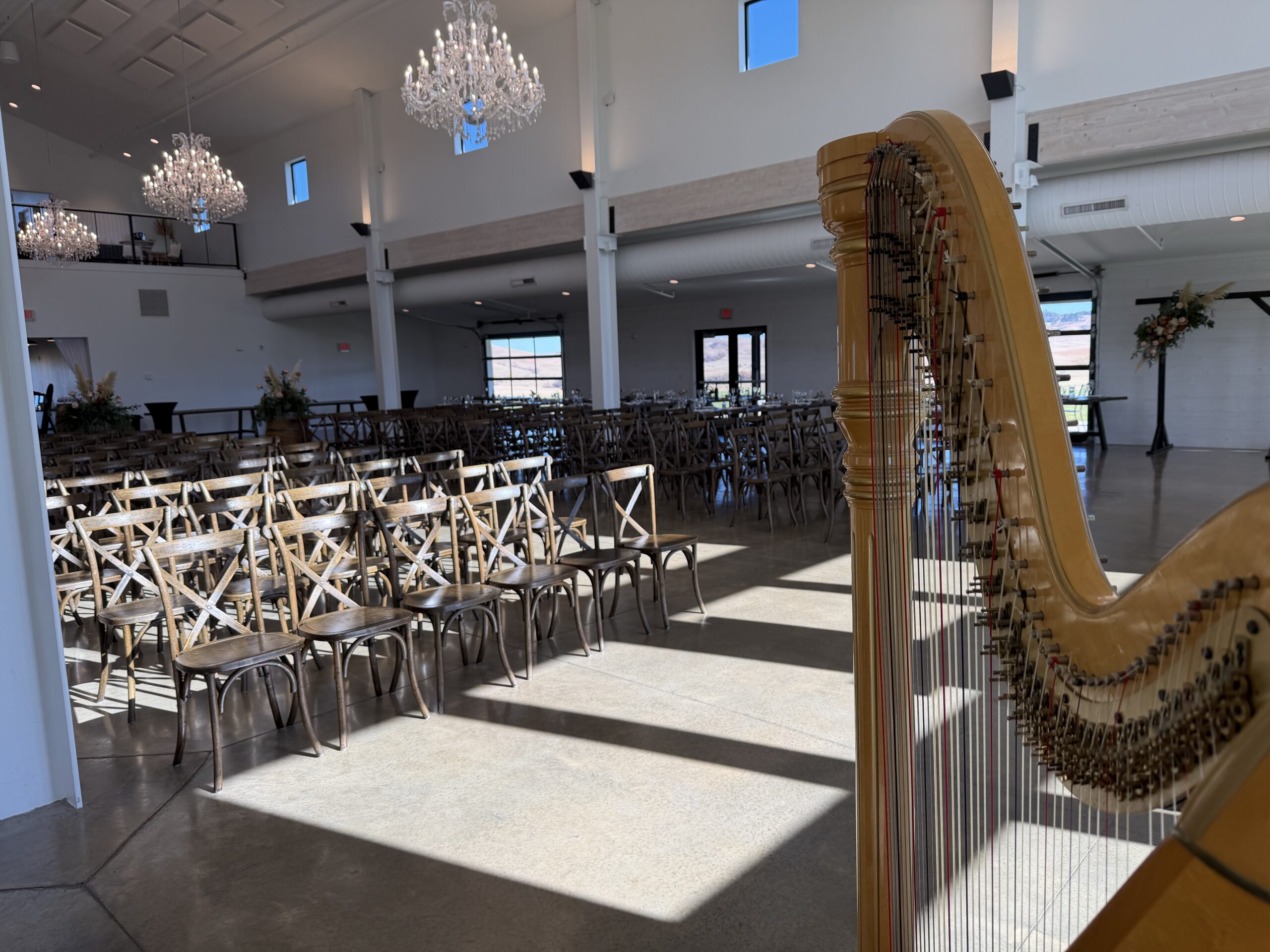 Harpist in Rapid City SD