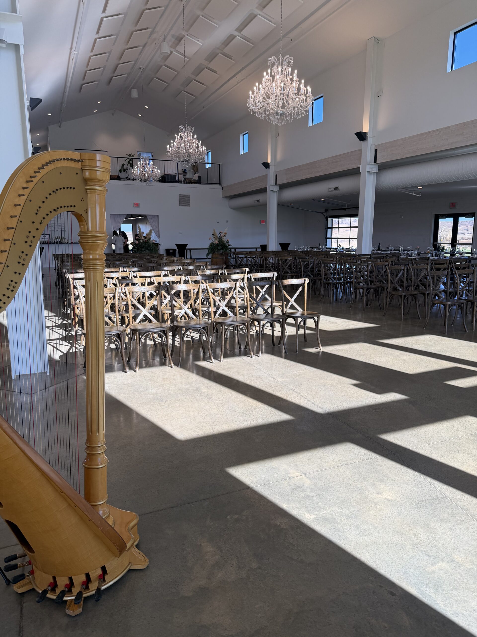 Spearfish SD Harpist