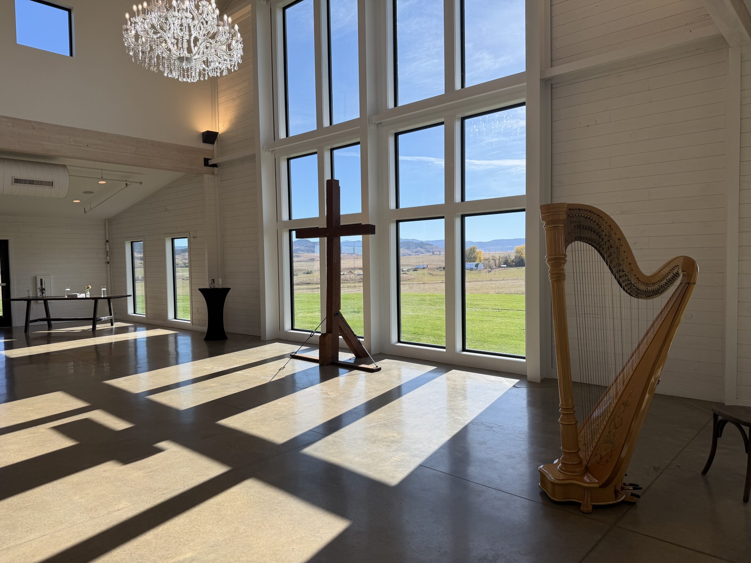 South Dakota Harpist