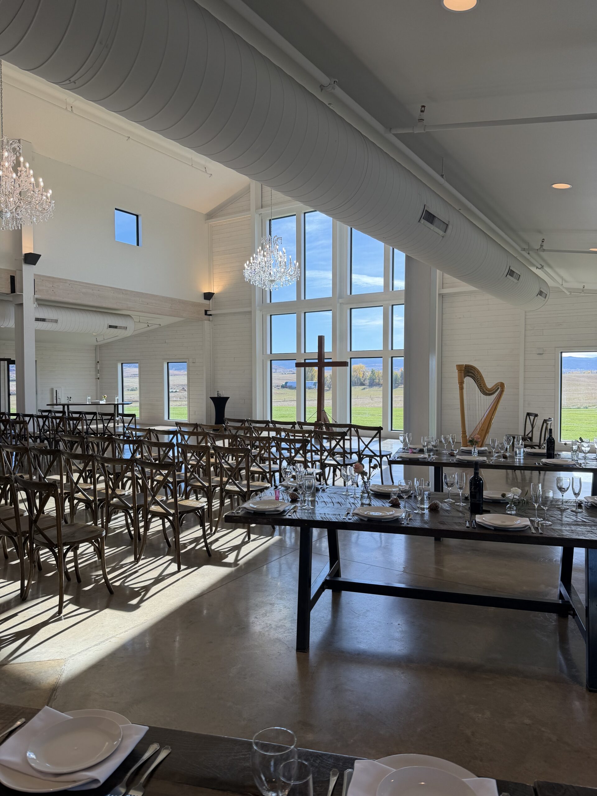 Harpist in Rapid City