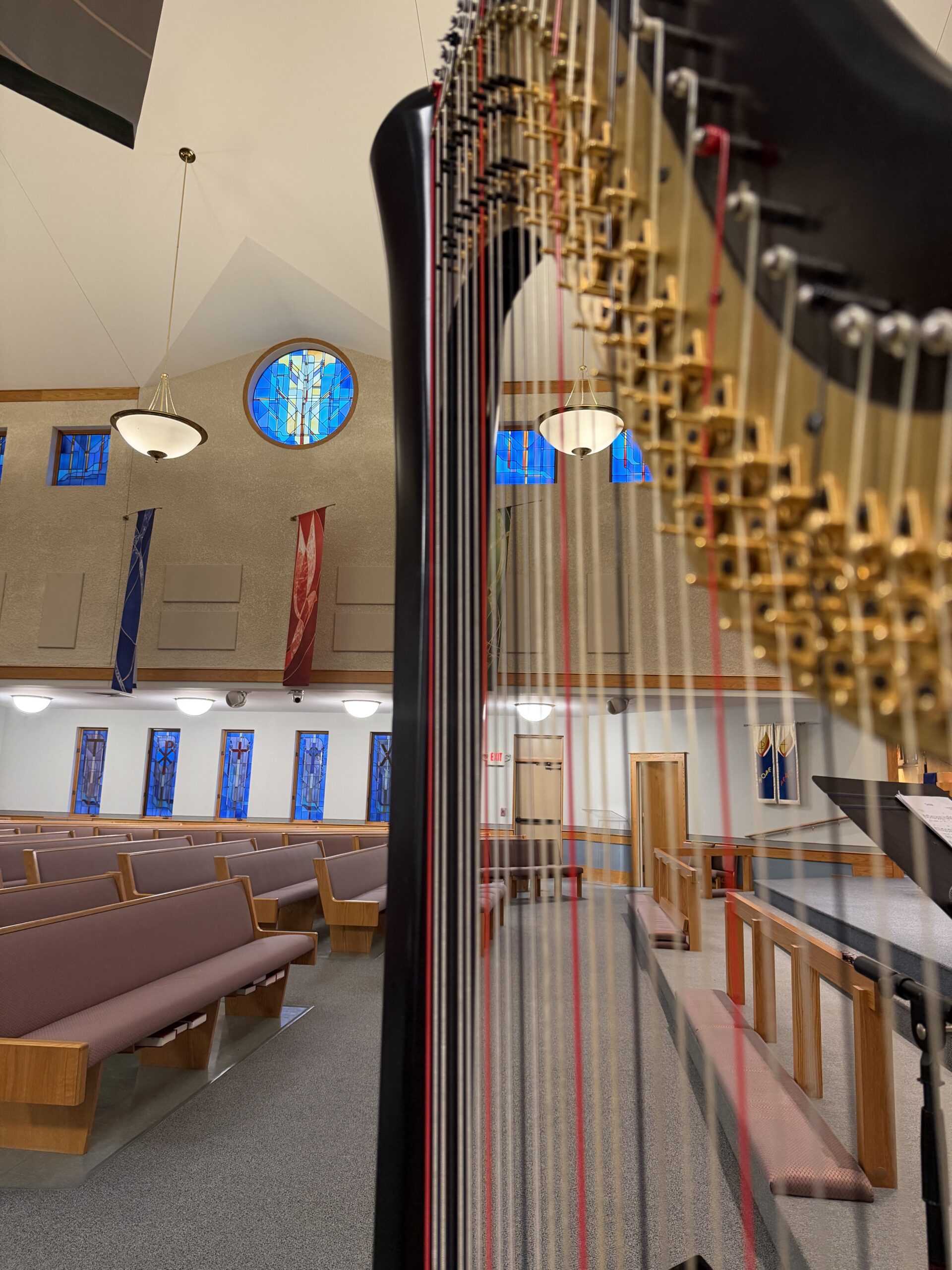 St. Louis Harpist at Christmas