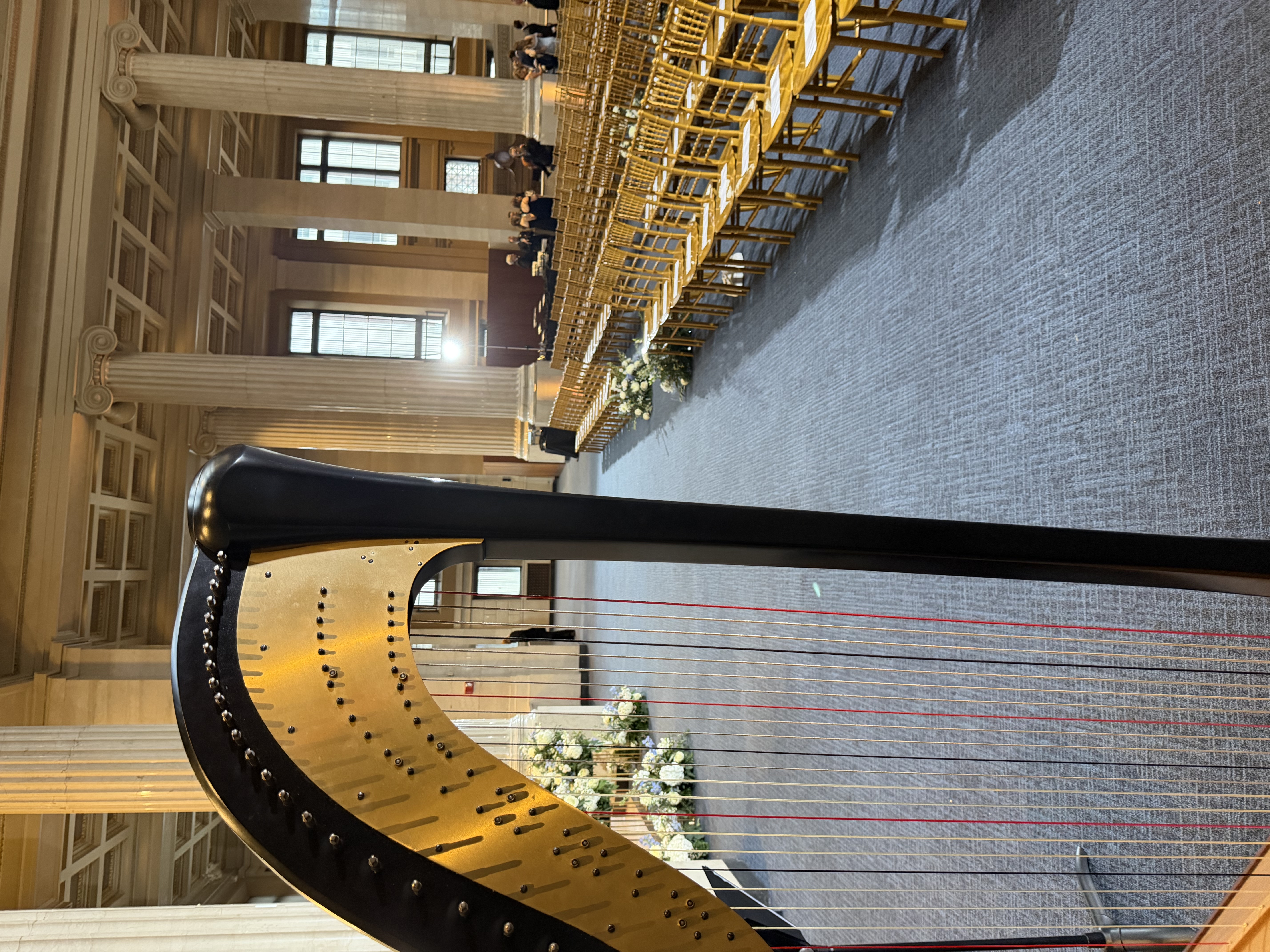 Harp Player Memphis TN