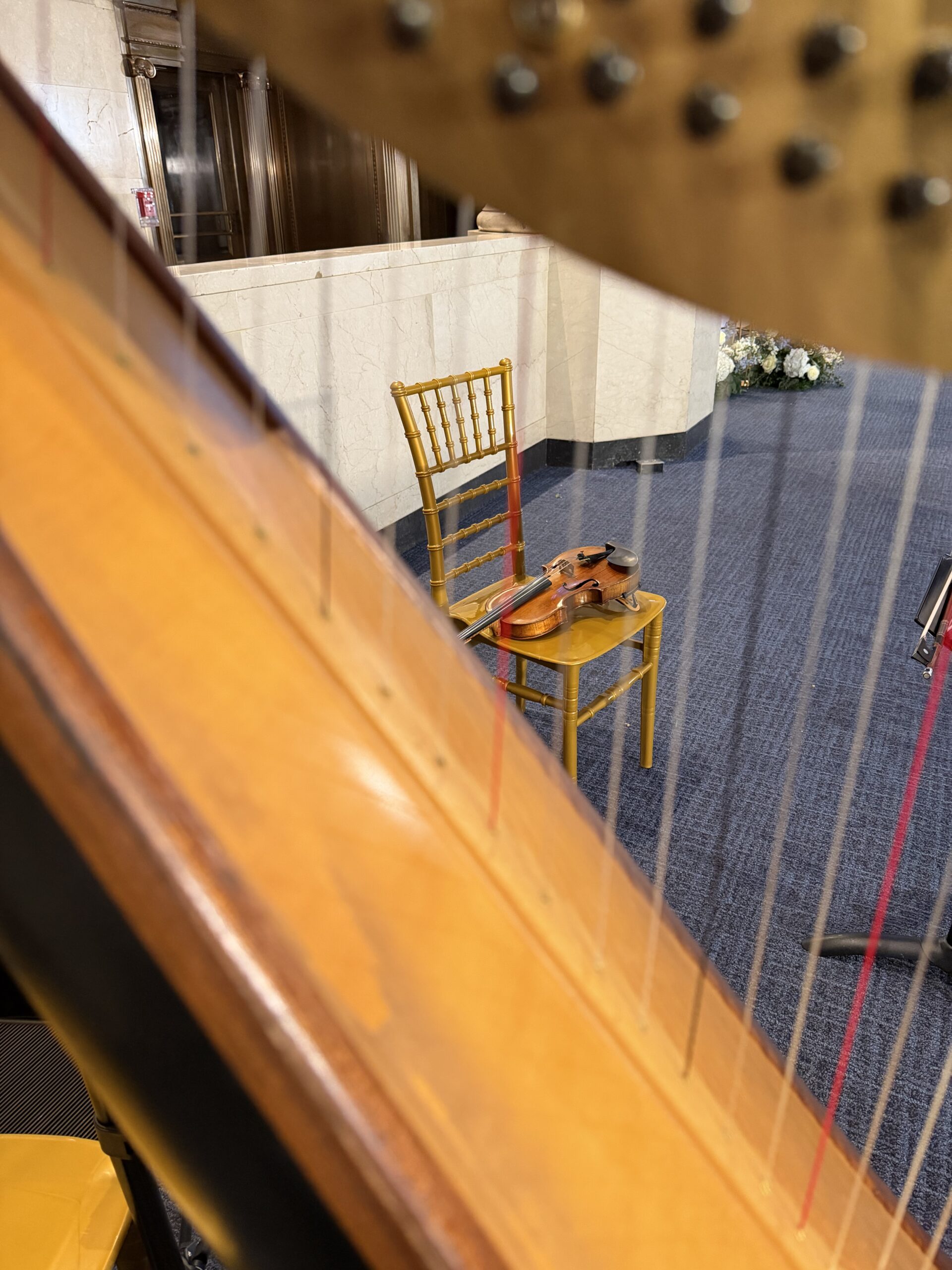 Wedding Violin Harp Duet