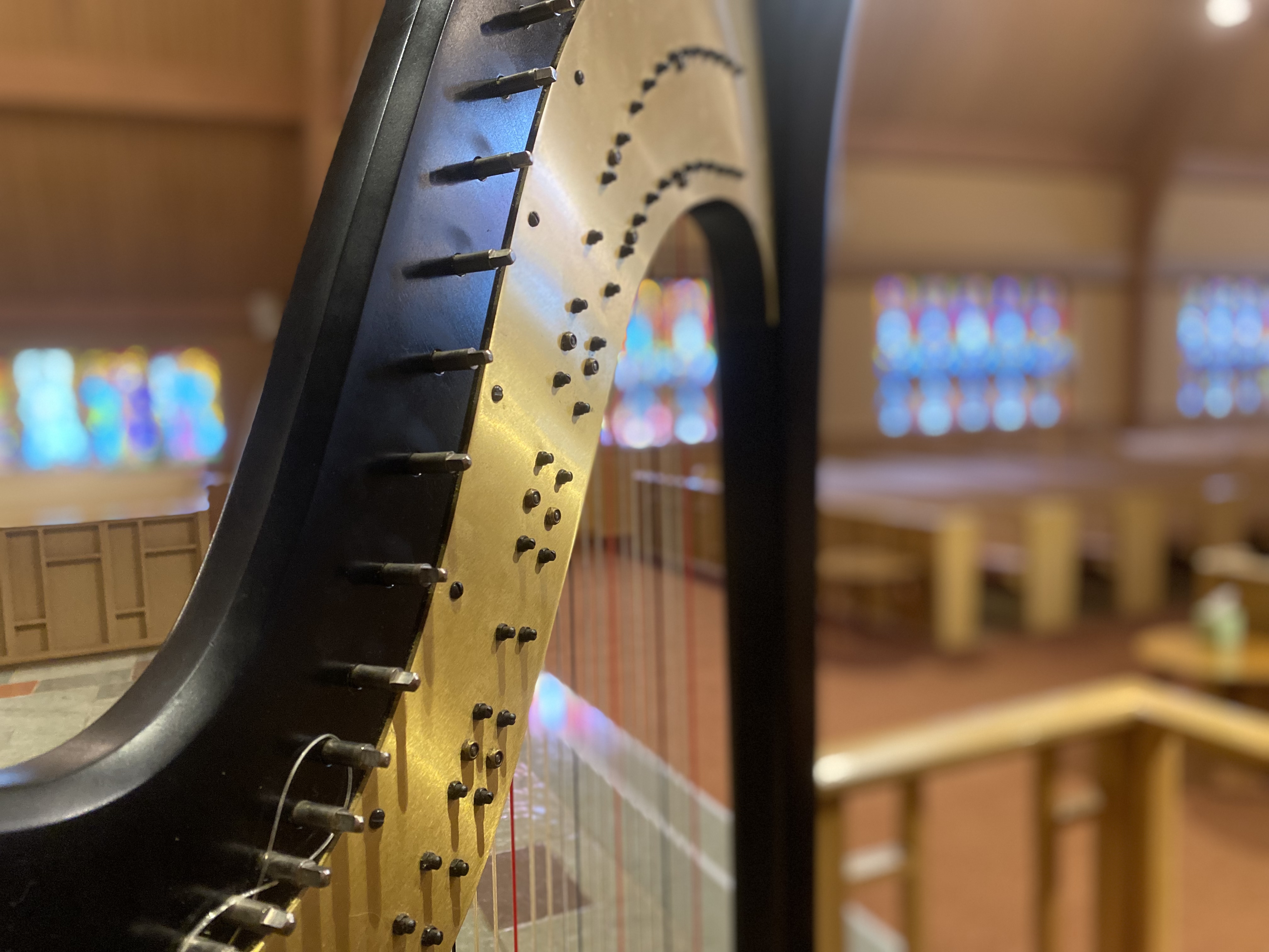 Lincoln NE Wedding Harpist