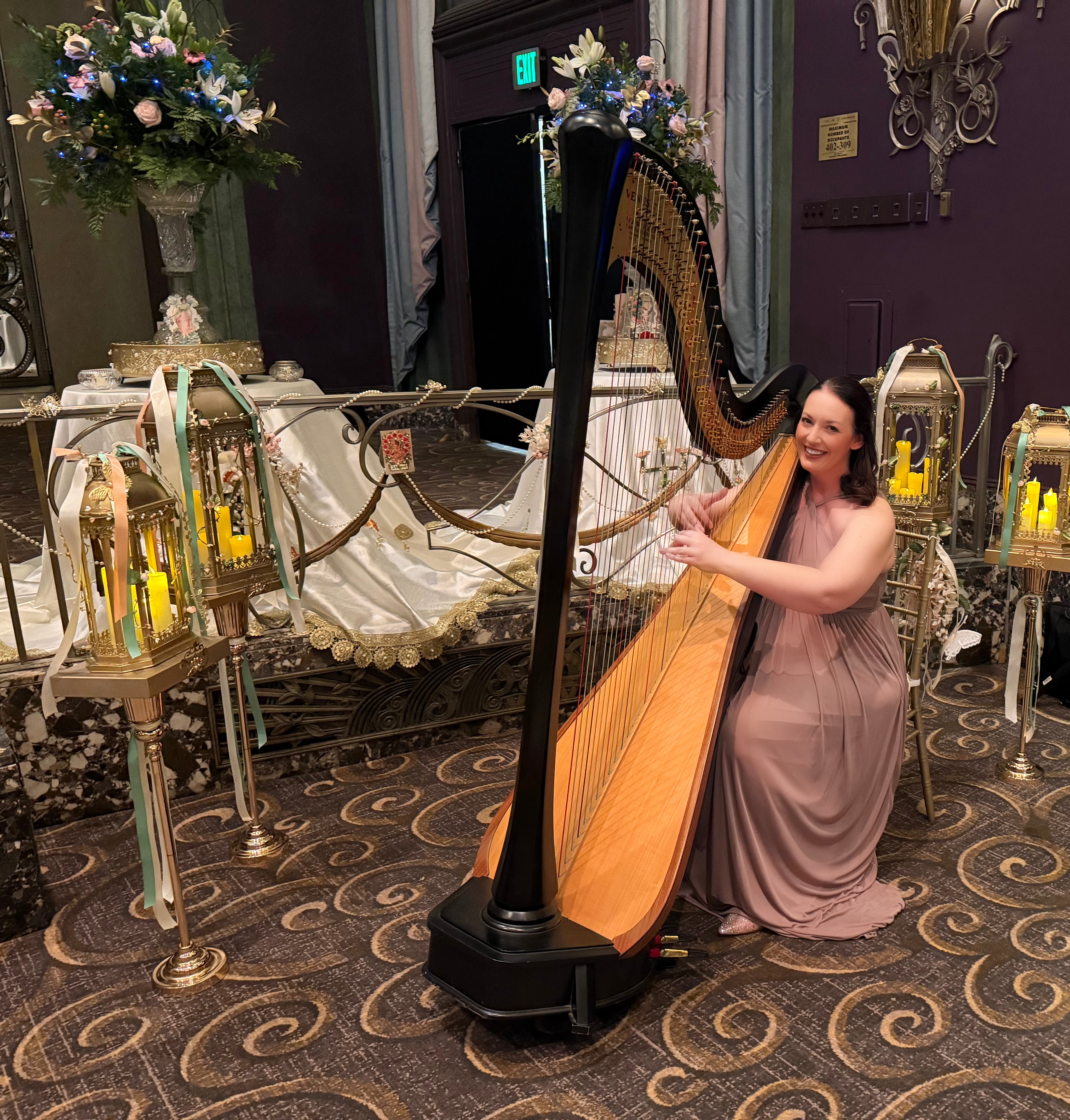 Cincinnati Harpist