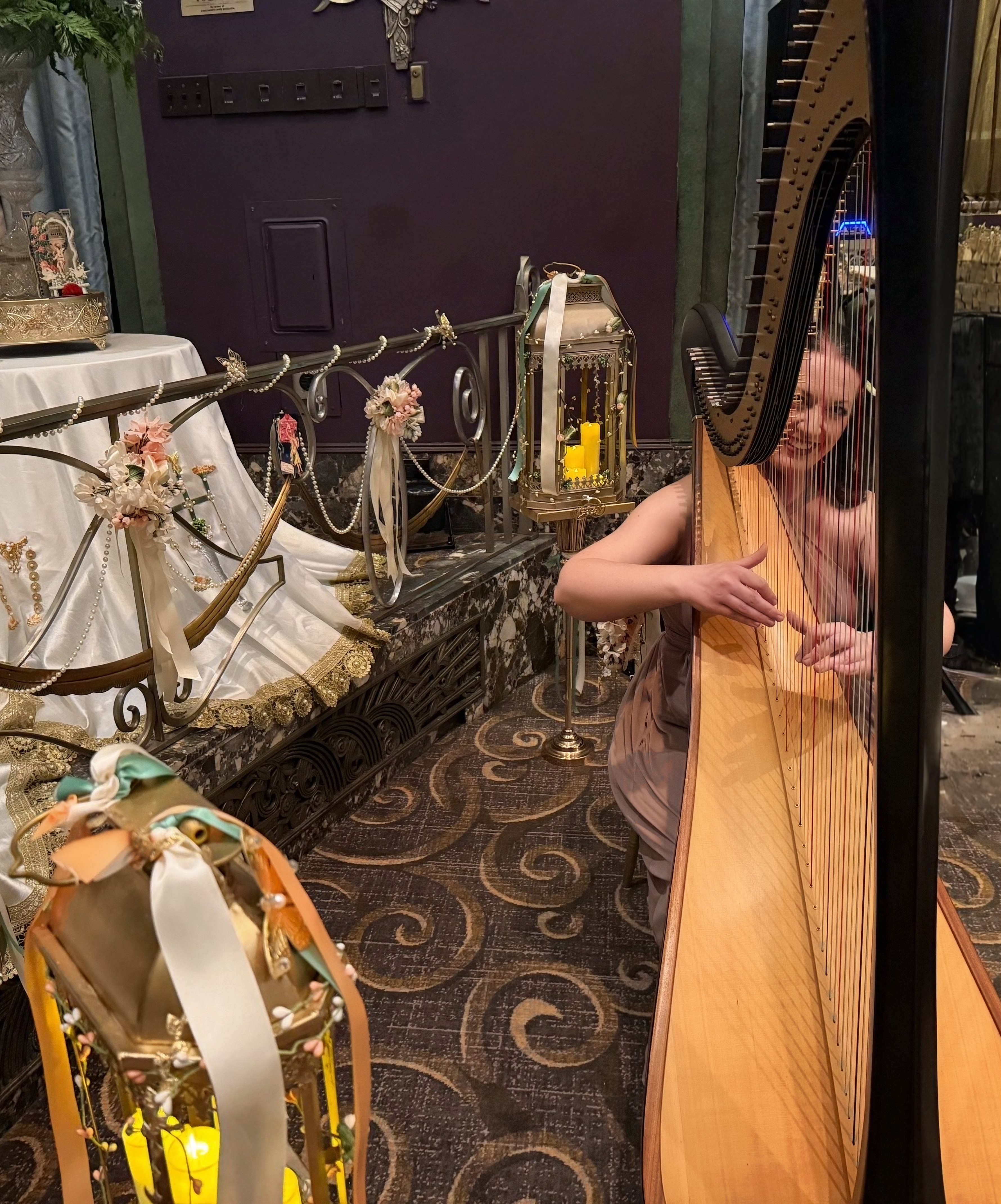 Harp Player Cincinnati