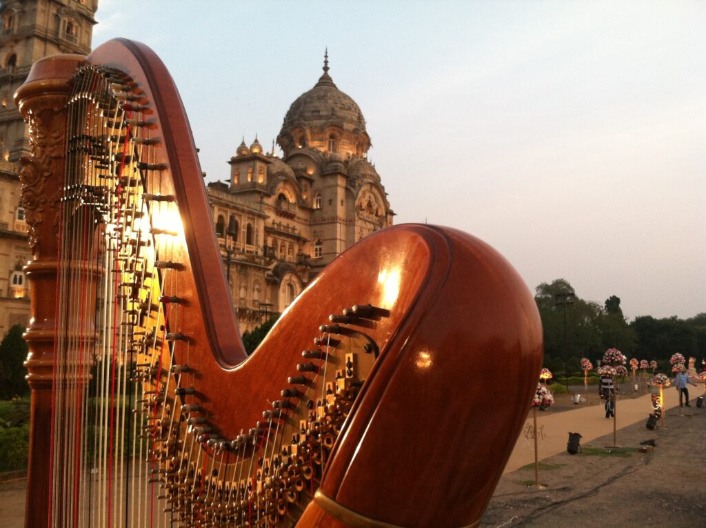 Bollywood Harpist