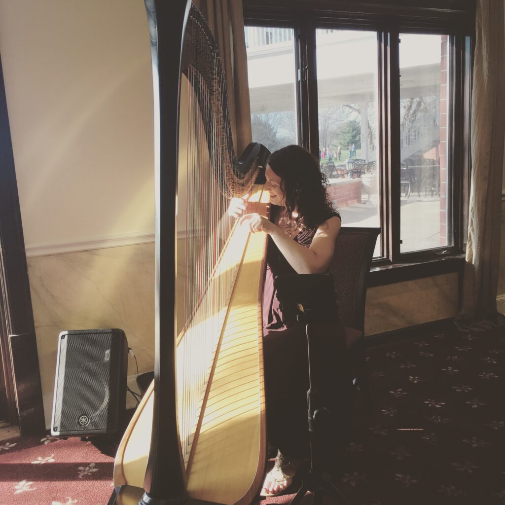 Harpist Playing Pop Music