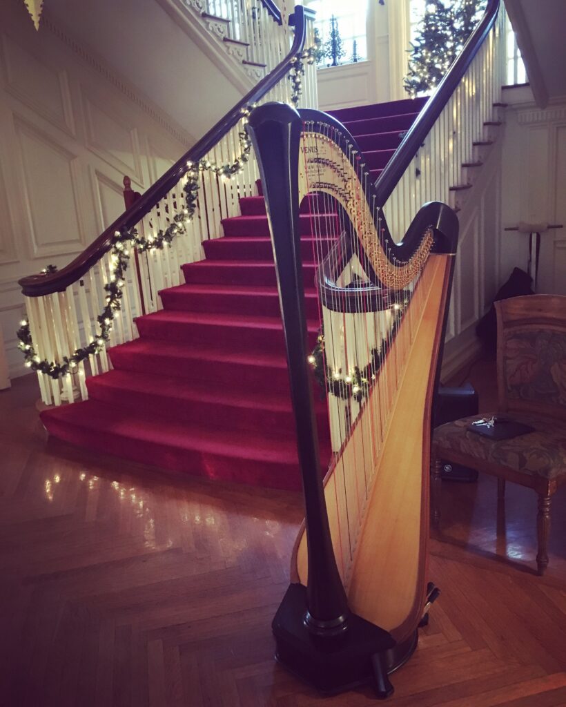 Hire Harpist for Christmas Party