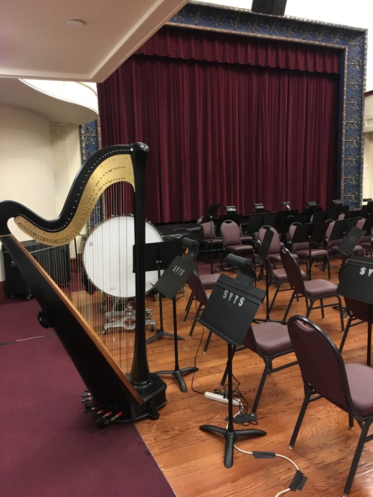 Harpist in the Movies