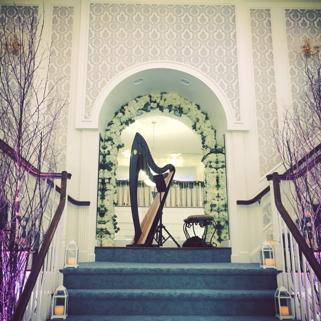 Troubadour Harp