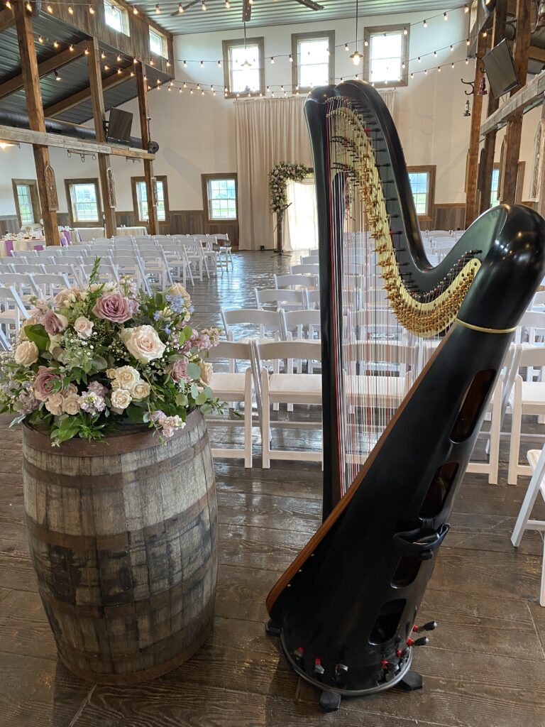Jazz Harpist for Weddings