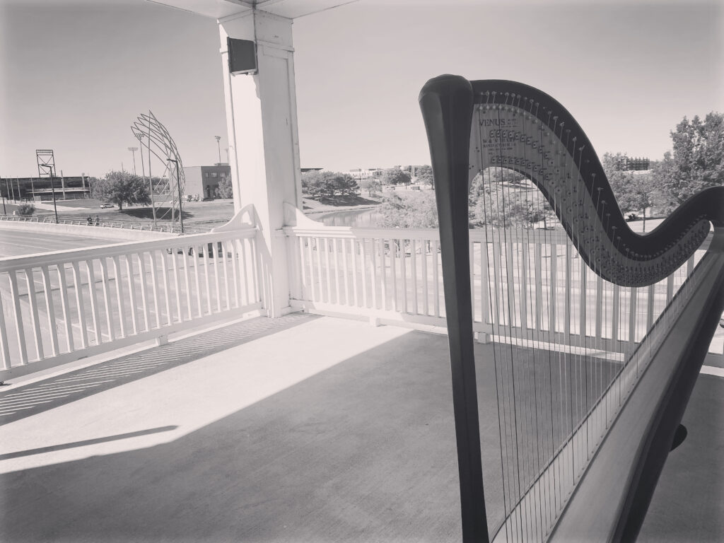 Best Harpist Near Me
