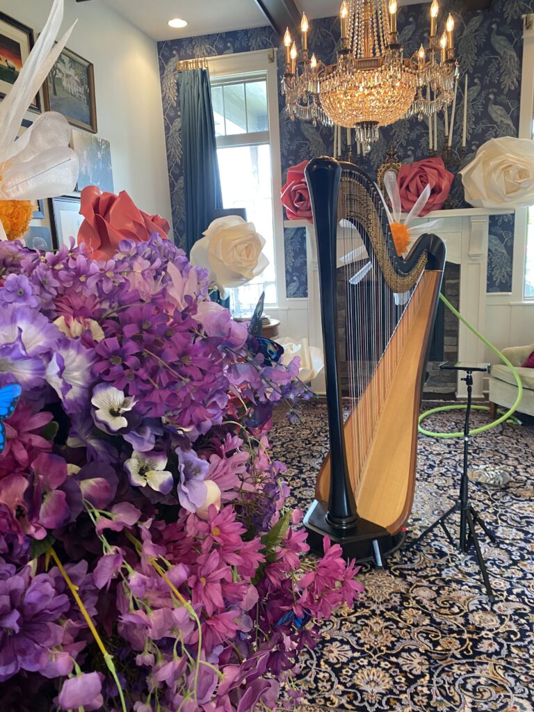Musical Theatre Harpist