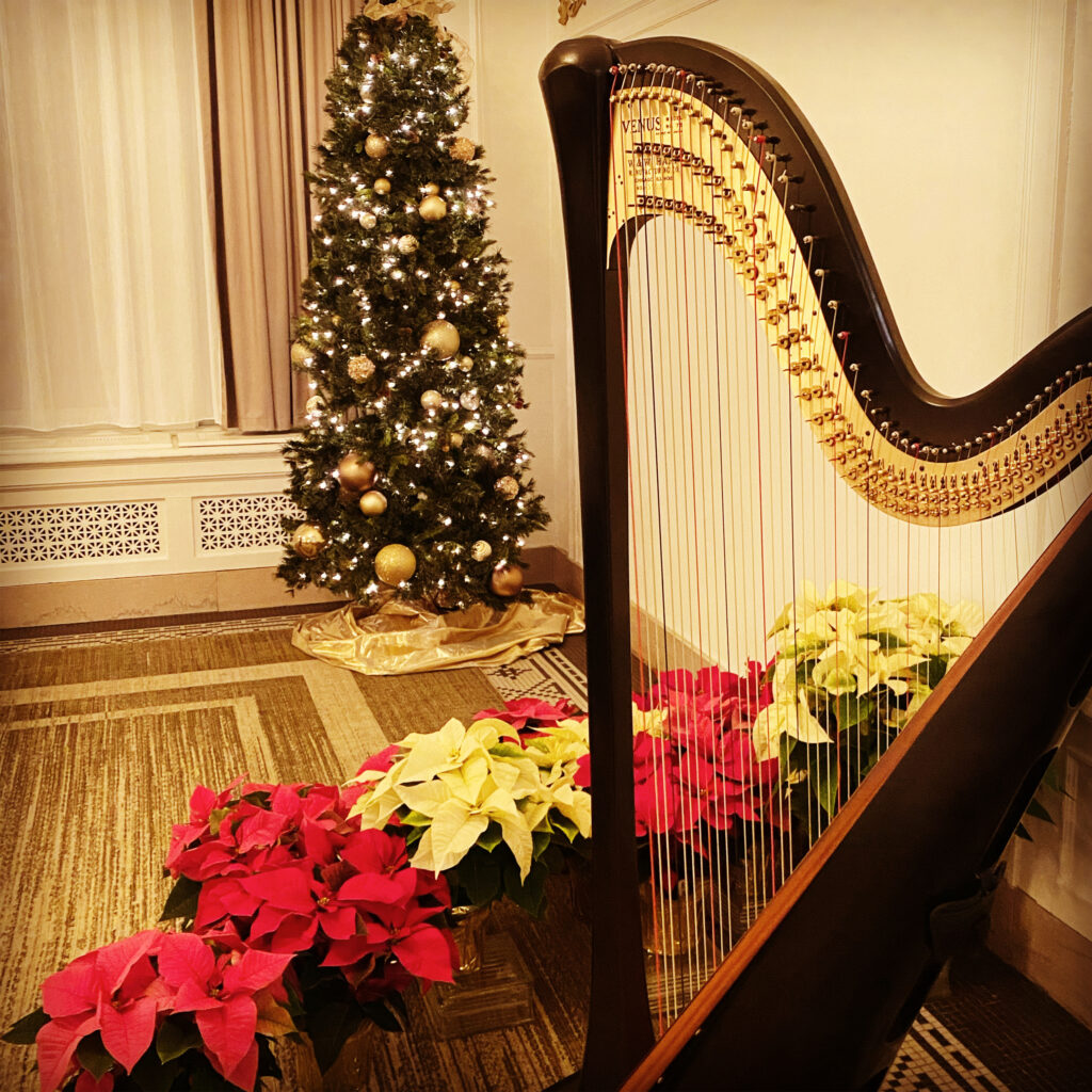 Harpist for Christmas Party