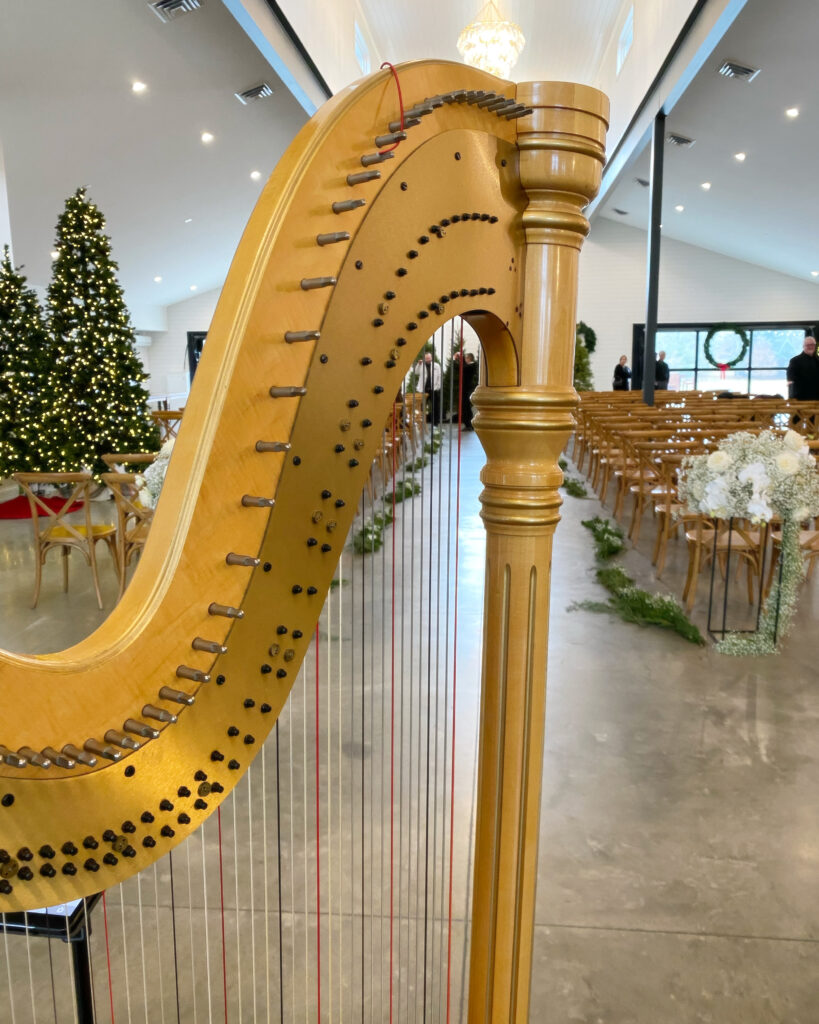 Harpist for Christmas Wedding