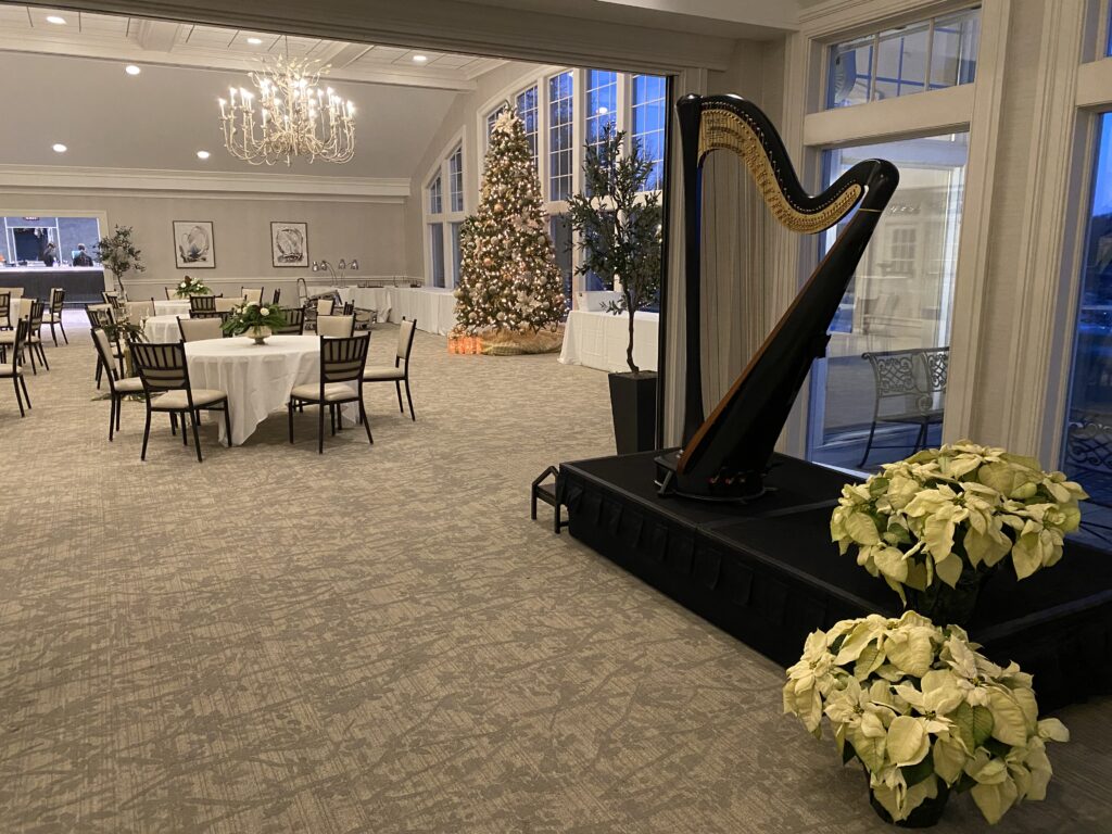 Live Music for Christmas