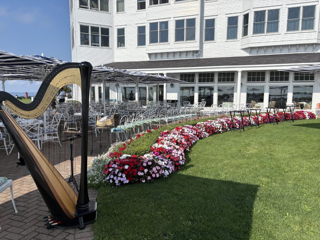 Celtic Harpist for Weddings