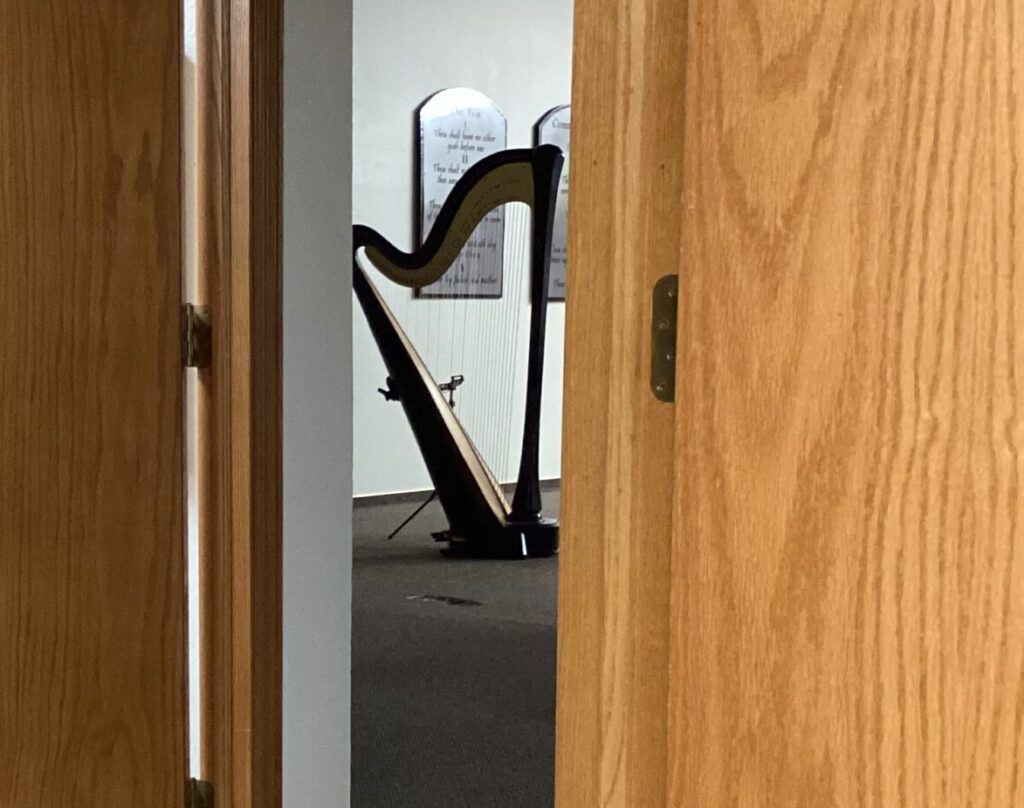 Madison SD Harpist