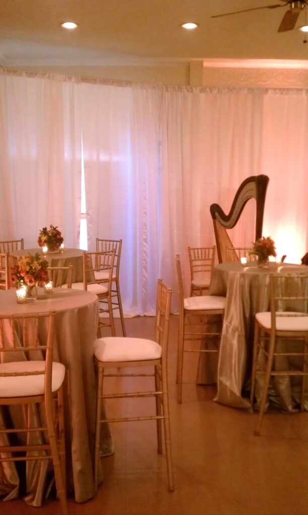 Harp Music for Parties