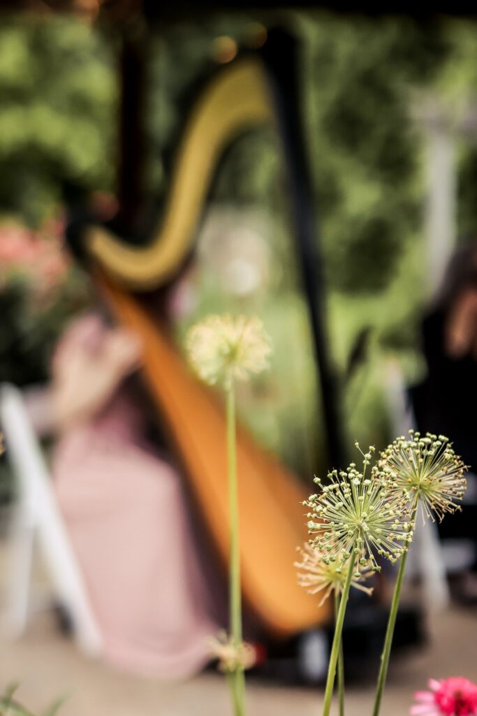 Harp at a Wedding