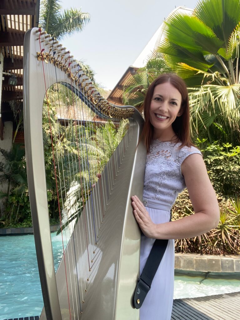Carbon Fibre Harp