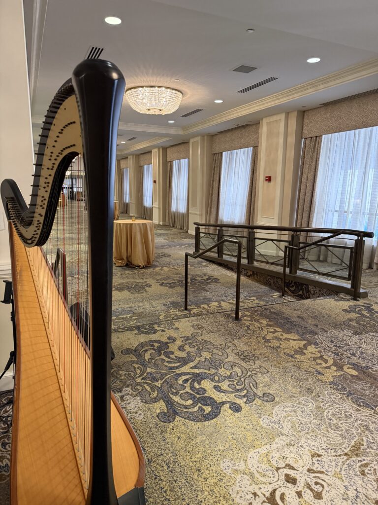 Memphis Harpist