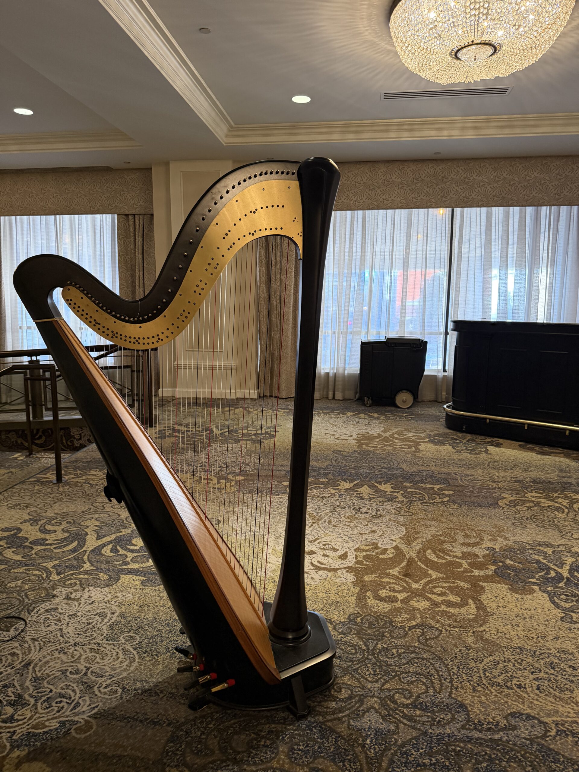 Bollywood Harpist Memphis