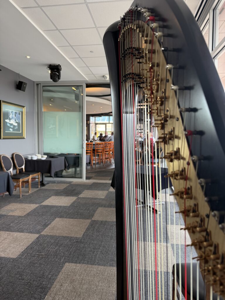 Music for Anniversary Party St. Louis