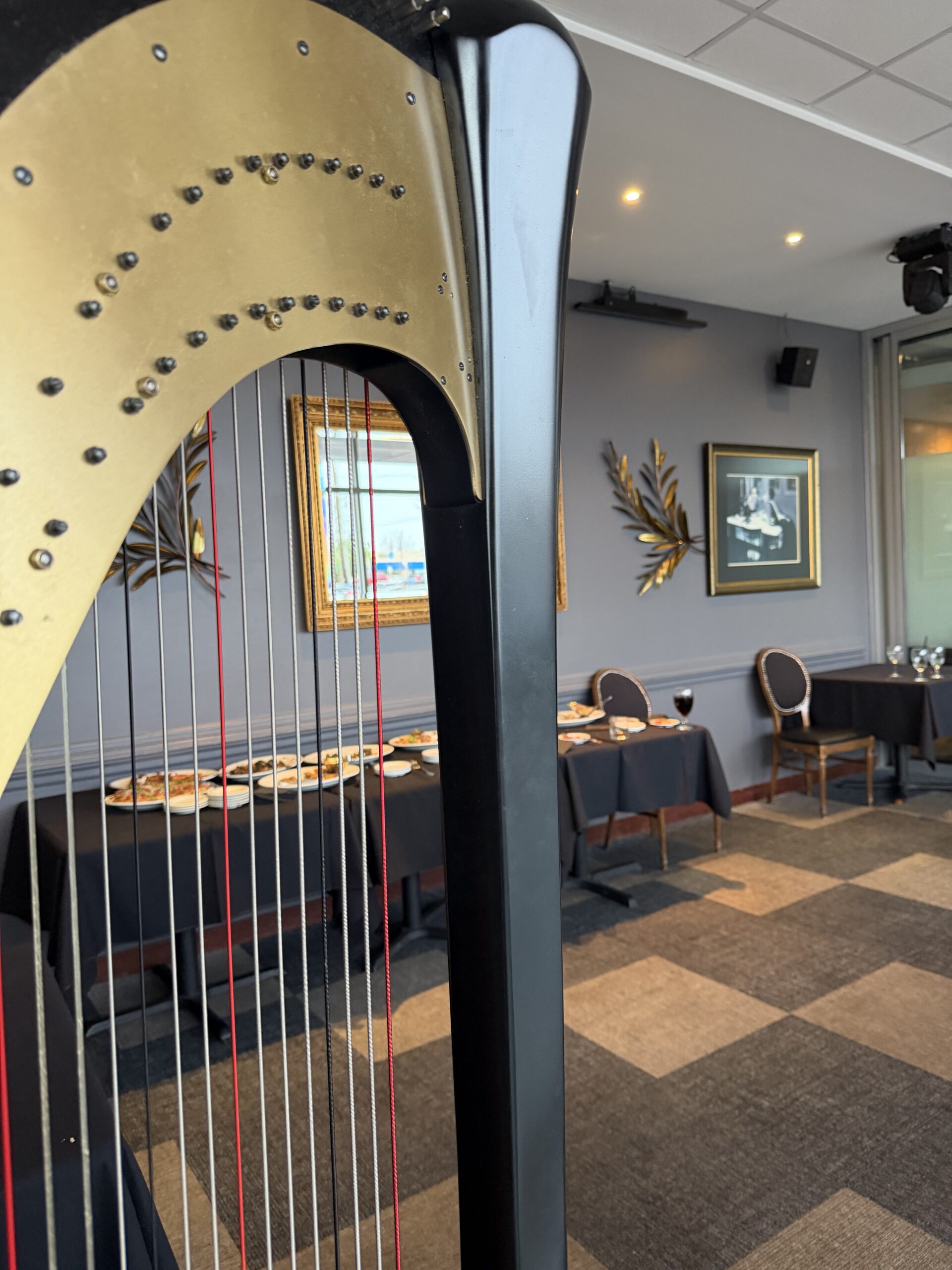 Harpist in St. Louis