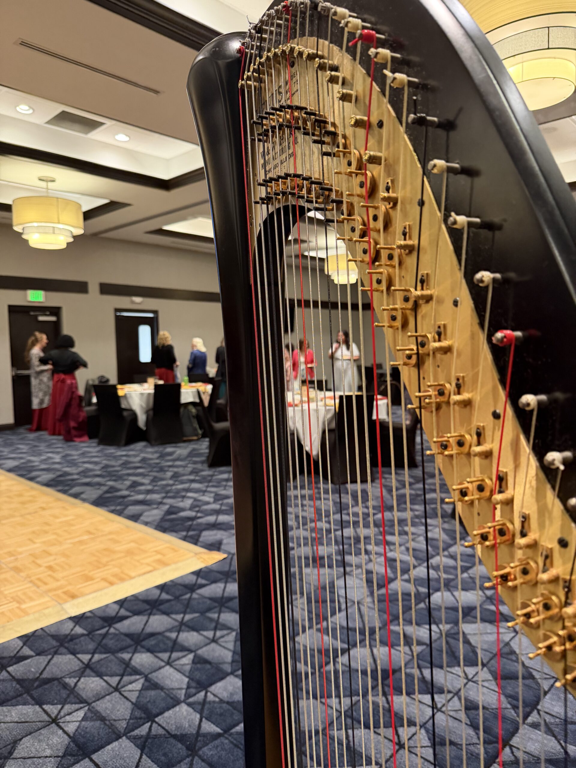 Harpist in Lafayette Indiana